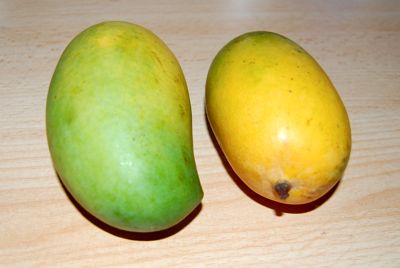 alphonso mangoes