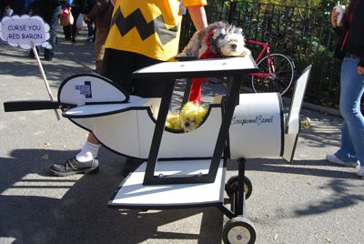 2009 dog halloween parade tompkins square park