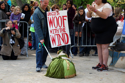 tompkins square dog halloween parade gracie