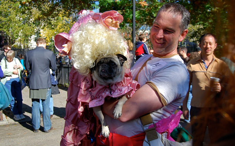 tompkins square halloween dog parade marie antoinette