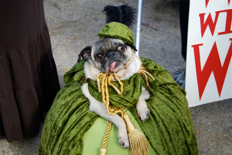 tompkins square halloween dog parade scarlett o'hara