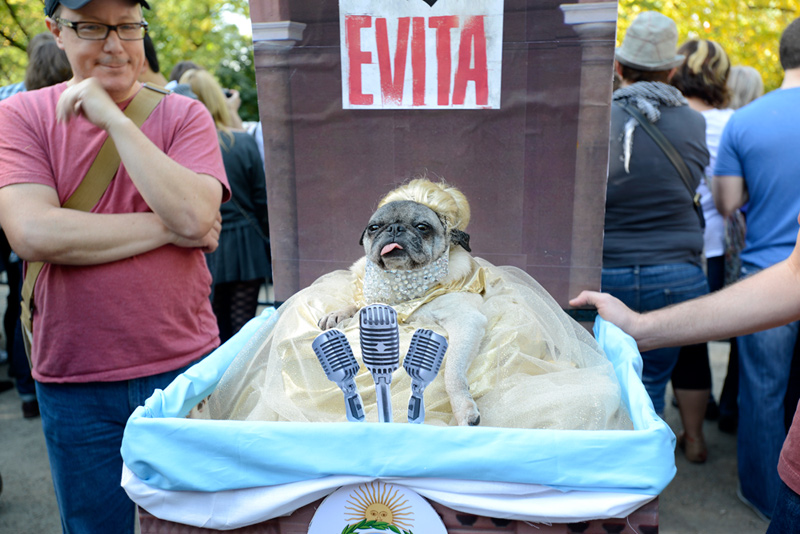 tompkins square halloween dog parade evita