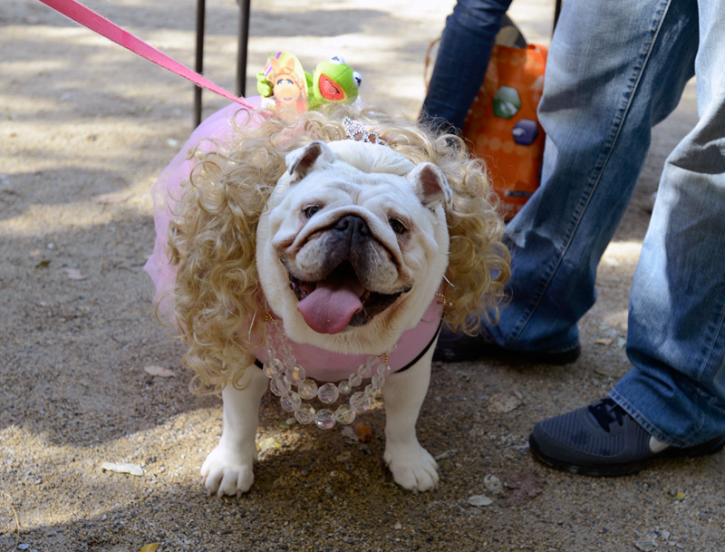 tompkins square halloween ms piggy