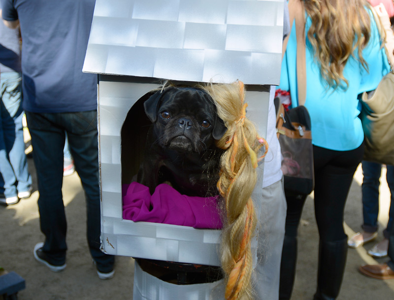 tompkins square halloween dog parade repugzel