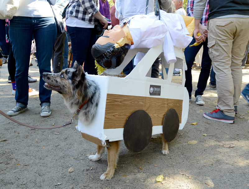 tompkins square halloween dog parade revenge of seamus