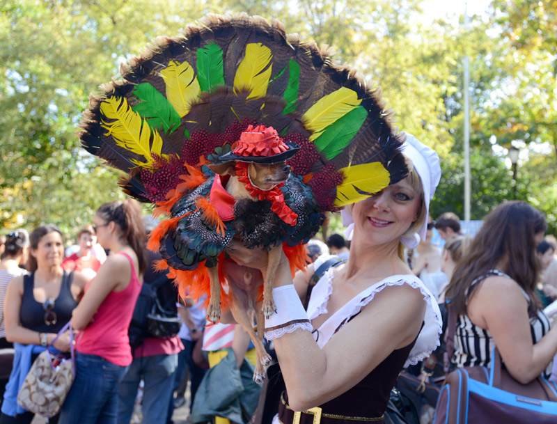 tompkins square halloween dog parade turkey