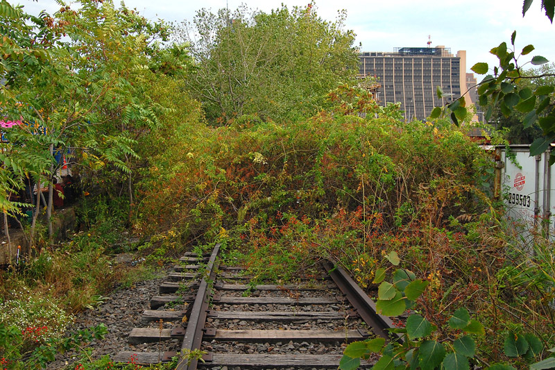 The High Line at the West Side Rail Yards