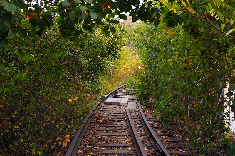 The High Line at the West Side Rail Yards