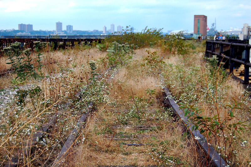 The High Line at the West Side Rail Yards