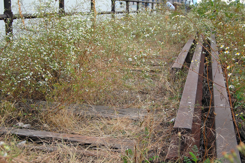 The High Line at the West Side Rail Yards