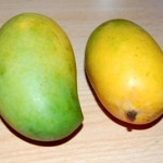 Alphonso Mangoes