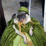 Tompkins Square Dog Halloween Parade