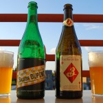 saison dupont sorachi ace