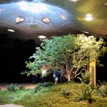 The Lowline