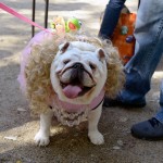 tompkins square halloween ms piggy