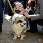 tompins square dog halloween parade 2013